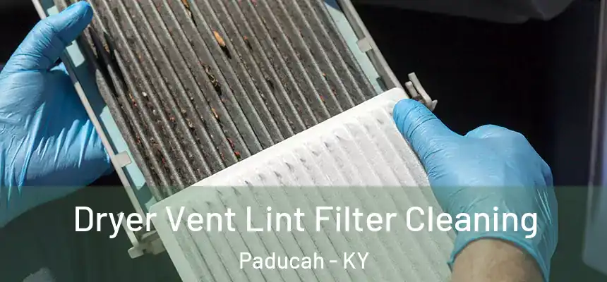 Dryer Vent Lint Filter Cleaning Paducah - KY
