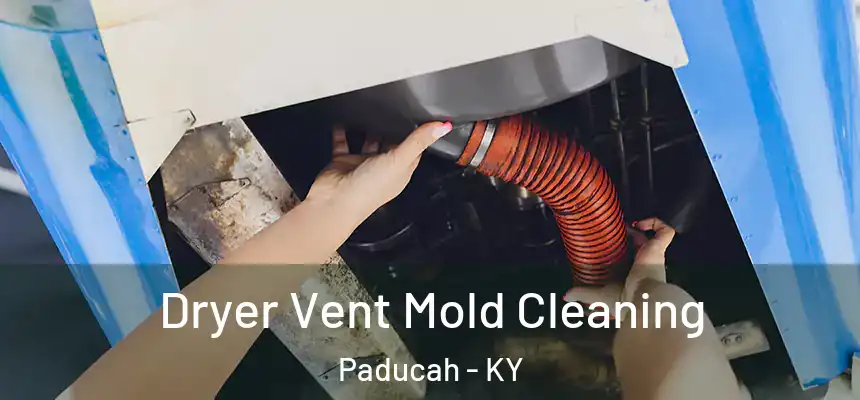 Dryer Vent Mold Cleaning Paducah - KY