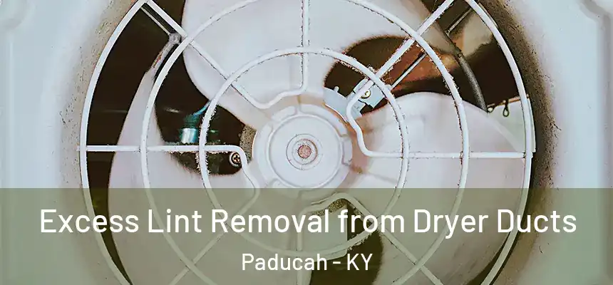  Excess Lint Removal from Dryer Ducts Paducah - KY