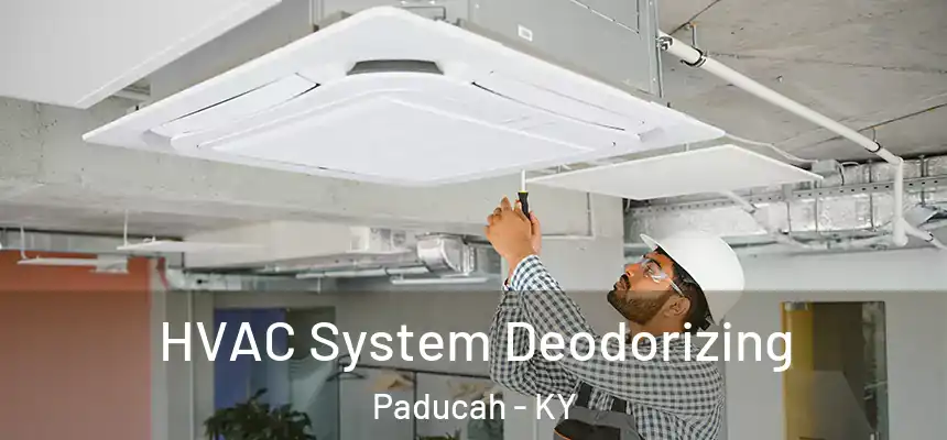  HVAC System Deodorizing Paducah - KY