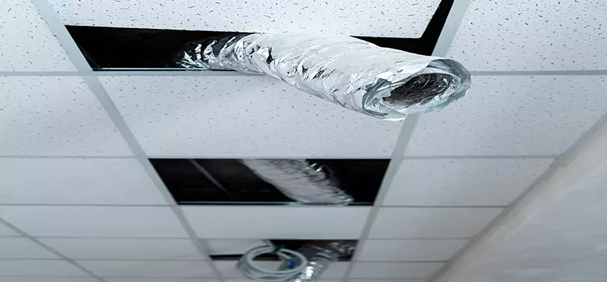 Affordable HVAC Sanitizing After Pest Removal in Paducah