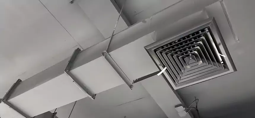 Our Rodent Droppings In Vents Services in Paducah, KY