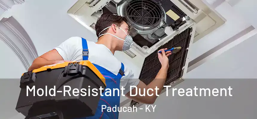  Mold-Resistant Duct Treatment Paducah - KY