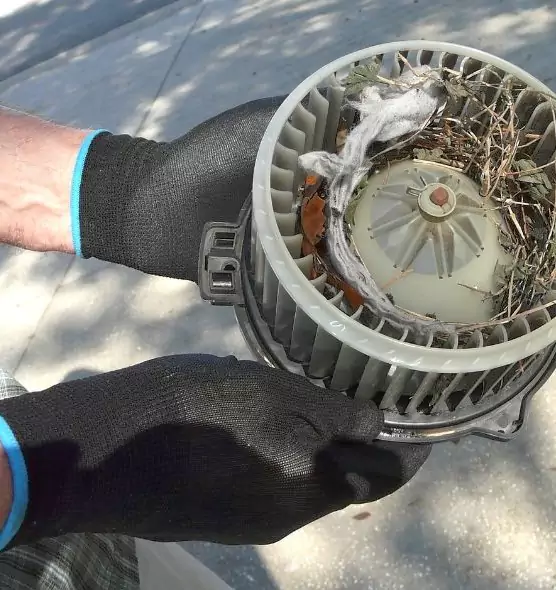 About Air Duct Mice Removal in Paducah, KY