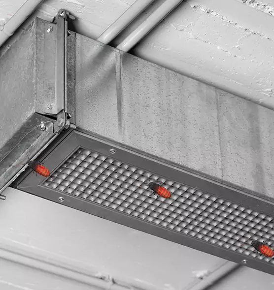 Affordable Insect Removal from Air Ducts in Paducah, KY