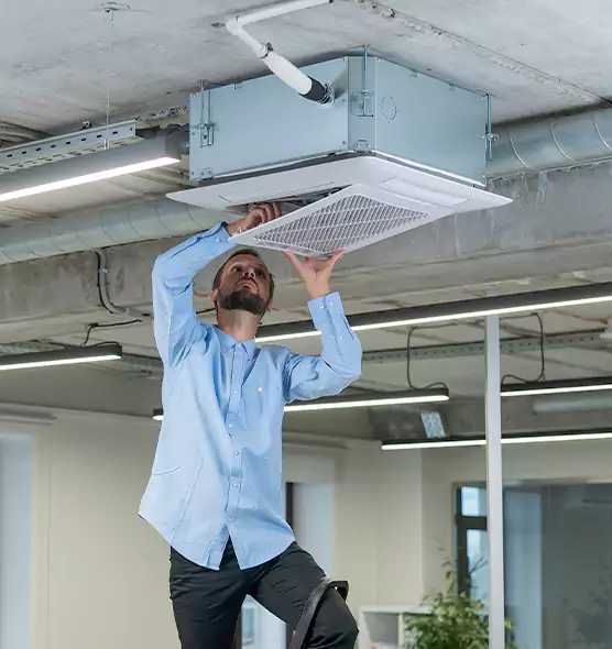 Advanced Rodent Droppings In Vents in Paducah, KY