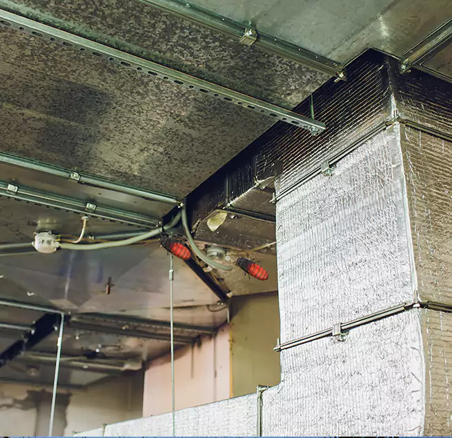 Why Homeowners & Businesses Trust Us in Paducah, KY?