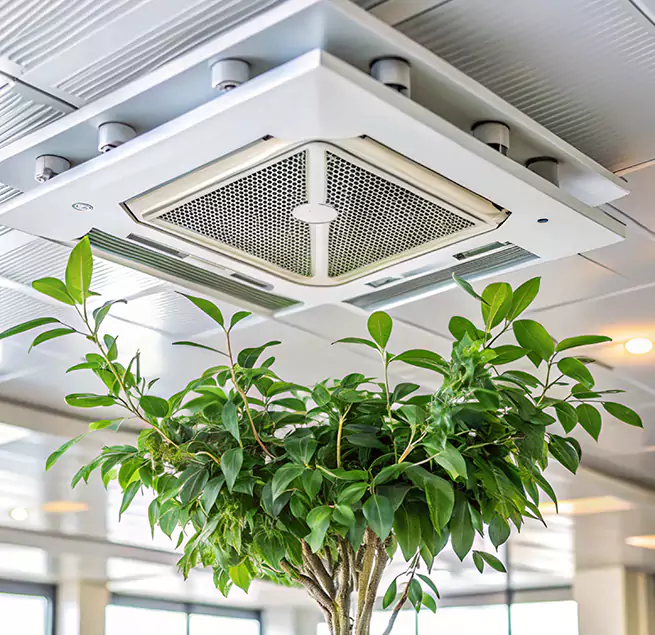 Why Homeowners & Businesses Trust Us in Paducah, KY?